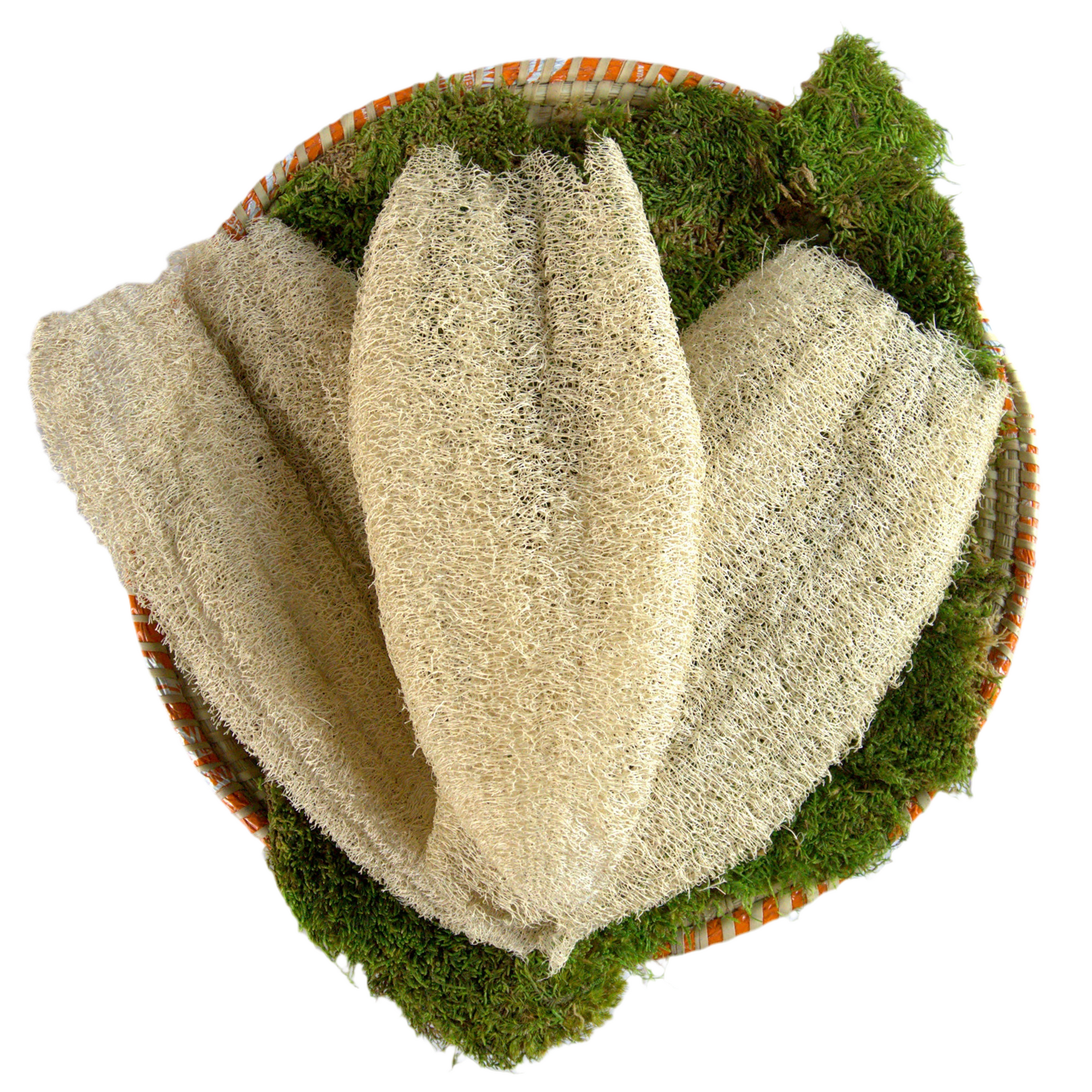 Ugandan Exfoliator Natural Loofah (Ekyangwe)