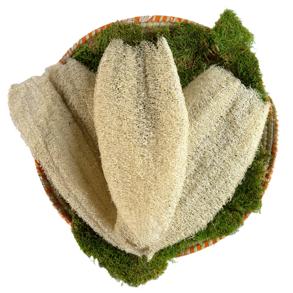 Ugandan Exfoliator Natural Loofah (Ekyangwe)